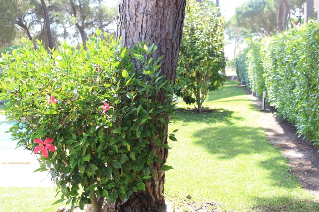 The Pinewood Villa Vilamoura Buitenkant foto