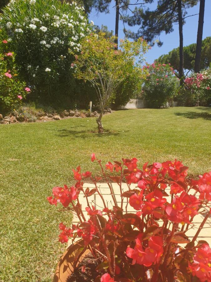 The Pinewood Villa Vilamoura Buitenkant foto