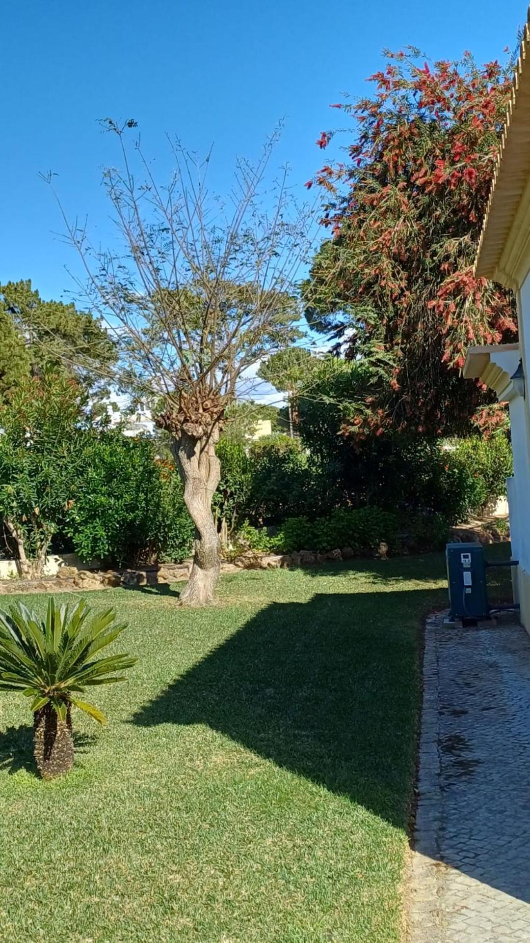 The Pinewood Villa Vilamoura Buitenkant foto