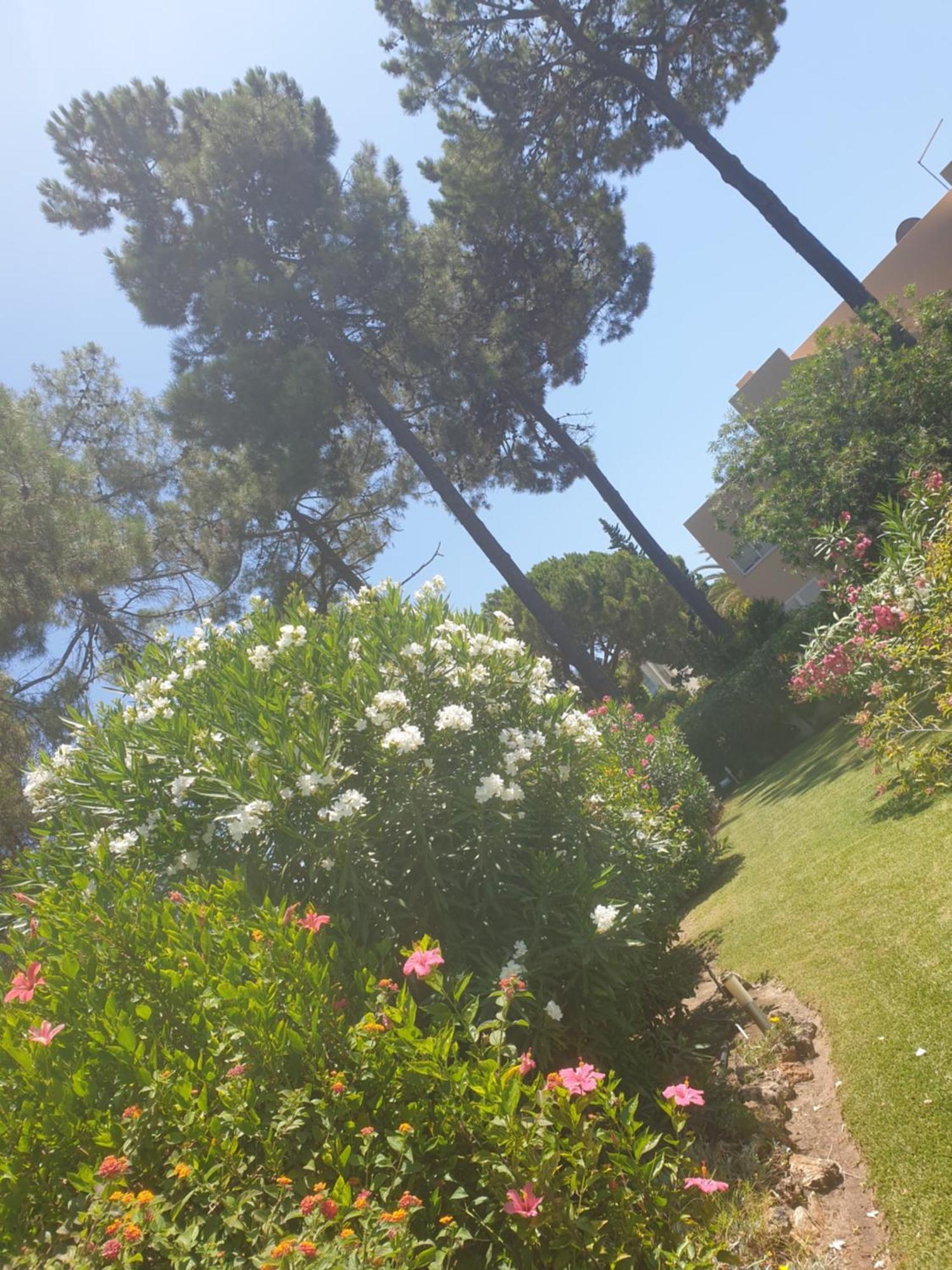 The Pinewood Villa Vilamoura Kamer foto